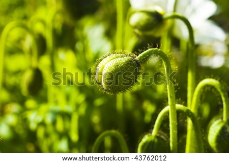 Floration Stock Photos, Royalty-Free Images & Vectors - Shutterstock