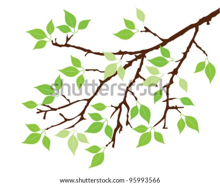 Tree Branch Silhouette Stock Photos, Images, & Pictures | Shutterstock