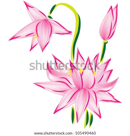 vector flower lotus - stock vector