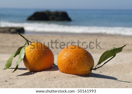 stock-photo-romantic-vacation-concept-two-kissing-ripe-oranges-on-sandy-beach-50161993.jpg