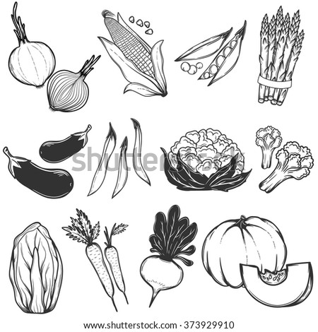 Set Fruits Vegetables Line Drawings Isolated Stock Illustration