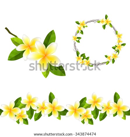 Frangipani Stock Images, Royalty-Free Images & Vectors | Shutterstock