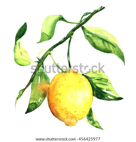 nld's Portfolio on Shutterstock