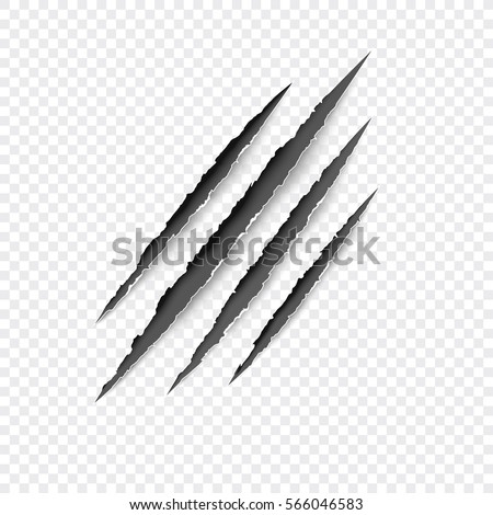 Claws scratches - vector isolated on transparent background. Claws scratching animal (cat, tiger, lion, bear) illustration. Claws scratches - vector isolated on transparent background. Claws scratching animal (cat, tiger, lion, bear) illustration.