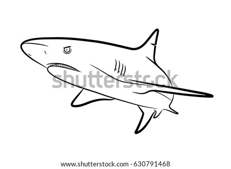 Dogfish Shark Coloring Coloring Pages