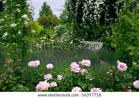 English Rose Garden Stock Photos, Images, & Pictures | Shutterstock