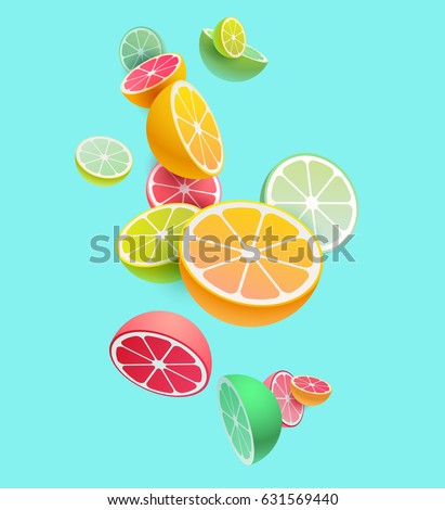 Citrus fruits composition. Vector styling. Citrus fruits composition. Vector styling.