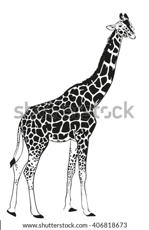 Giraffe Stock Photos, Royalty-Free Images & Vectors - Shutterstock