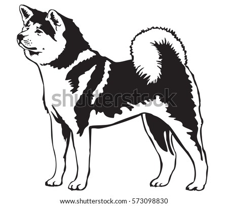 Akita Stock Images, Royalty-Free Images & Vectors | Shutterstock