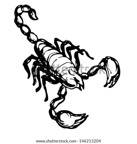 Scorpion Vector Illustration Stock Vector 92799613 - Shutterstock