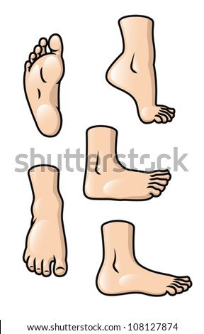 Cartoon Toes Stock Photos, Images, & Pictures | Shutterstock