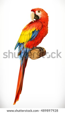 Ara parrot. Macaw. Photo realistic. 3d vector icon Ara parrot. Macaw. Photo realistic. 3d vector icon