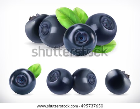 Blueberry. Sweet fruit. Forest berry. 3d vector icons set. Realistic illustration Blueberry. Sweet fruit. Forest berry. 3d vector icons set. Realistic illustration