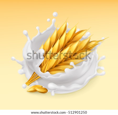 Wheat and milk splash. Barley realistic illustration. 3d vector icon Wheat and milk splash. Barley realistic illustration. 3d vector icon