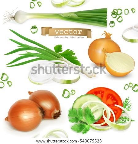 Onion set, realistic vector icons Onion set, realistic vector icons