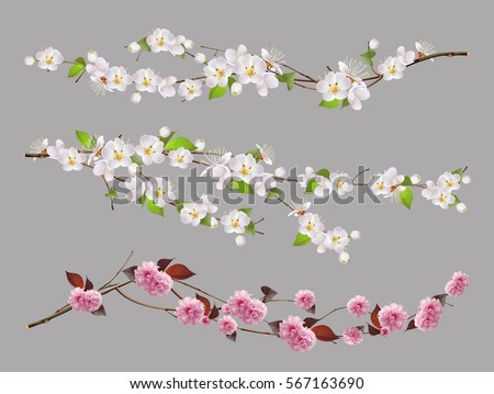 Tree branch, spring flowers. 3d vector set Tree branch, spring flowers. 3d vector set