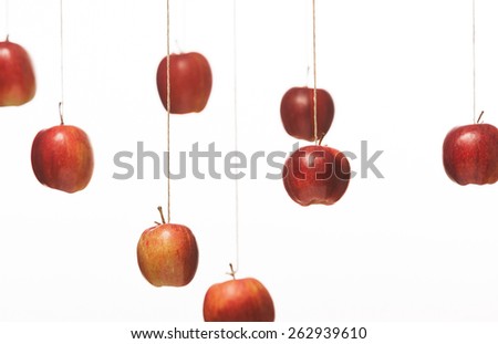 hanging apple stock photos images pictures shutterstock hanging apple stock photos images pictures shutterstock