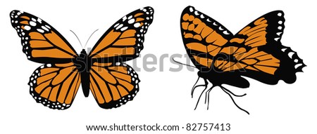 Monarch butterfly cartoon Stock Photos, Images, & Pictures | Shutterstock