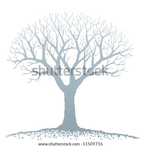 Bare Tree Stock Vector 51509716 - Shutterstock