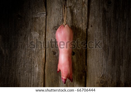 how pig is symbolized in different In the south and other poor areas, pigs were considered symbolic of both health and wealth, pigs have also long symbolized progress a pig. how pig is symbolized in different In the south and other poor areas, pigs were considered symbolic of both health and wealth, pigs have also long symbolized progress a pig.