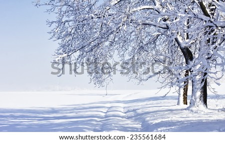 essay winter morning essay winter morning