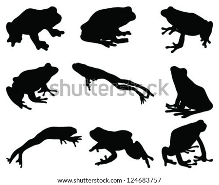 Frog Stock Images, Royalty-Free Images & Vectors | Shutterstock