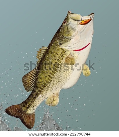indonesia girl naked photo large mouth bass jumping