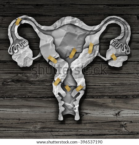 essay on female reproductive system essay on female reproductive system