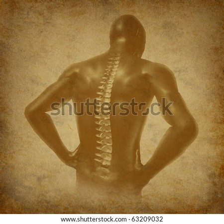 spine parchment spinal lightspring