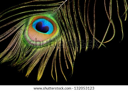 VenisM's Portfolio on Shutterstock