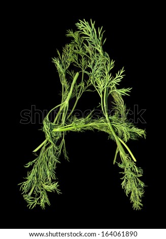 letter to dill Words start with dill, words starting with dill, words start dill. letter to dill Words start with dill, words starting with dill, words start dill.