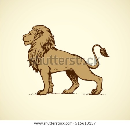 Beautiful african proud powerful nobility big leo standing and fierce looking for prey. Freehand ink hand drawn background sketchy in art doodle style pen on paper. Side view with space for text Beautiful african proud powerful nobility big leo standing and fierce looking for prey. Freehand ink hand drawn background sketchy in art doodle style pen on paper. Side view with space for text