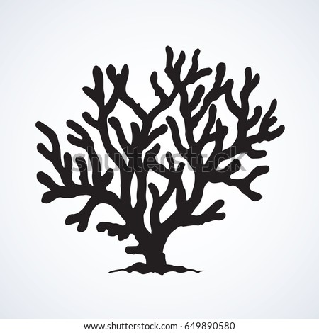 Deep old invertebrate Anthozoa Cnidaria polyp bush isolated on white backdrop. Dark ink hand drawn picture emblem in art retro contour print style. View closeup with space for text Deep old invertebrate Anthozoa Cnidaria polyp bush isolated on white backdrop. Dark ink hand drawn picture emblem in art retro contour print style. View closeup with space for text