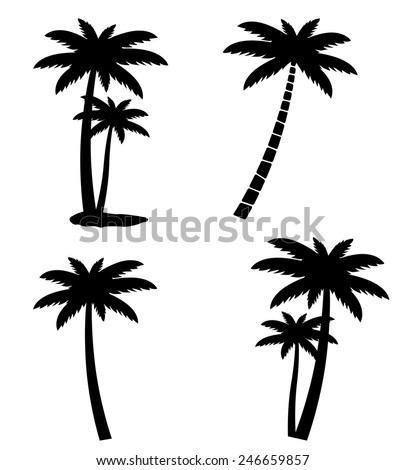 Palmtree Stock Images, Royalty-Free Images & Vectors | Shutterstock