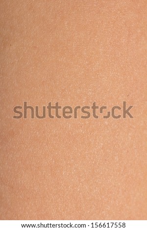 background human skin macro stock photo 172610195 skin texture stock photos royalty free images vectors background human skin macro stock photo 172610195 skin texture stock photos royalty free images vectors