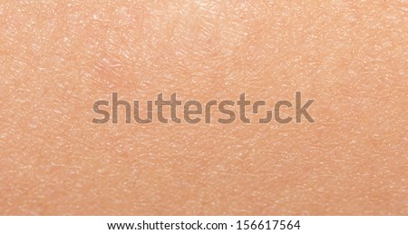 background of the human skin macro stock photo 156617564 skin texture stock photos royalty free images vectors background of the human skin macro stock photo 156617564 skin texture stock photos royalty free images vectors