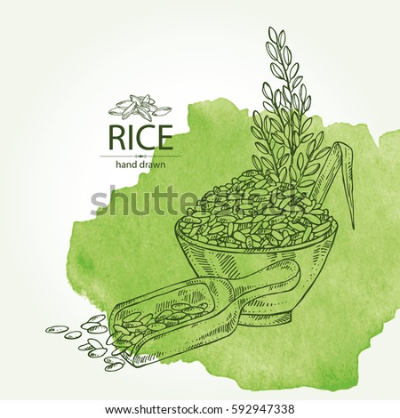 Watercolor background with rice and plate with rice. hand drawn Watercolor background with rice and plate with rice. hand drawn