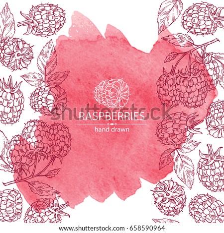 Watercolor background with a raspberry and branch of raspberry. Vector hand drawn illustration Watercolor background with a raspberry and branch of raspberry. Vector hand drawn illustration