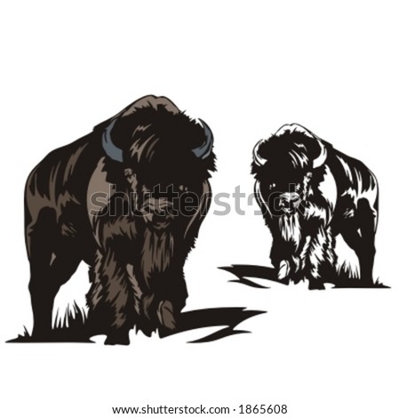 Beefalo Stock Photos, Royalty-Free Images & Vectors - Shutterstock