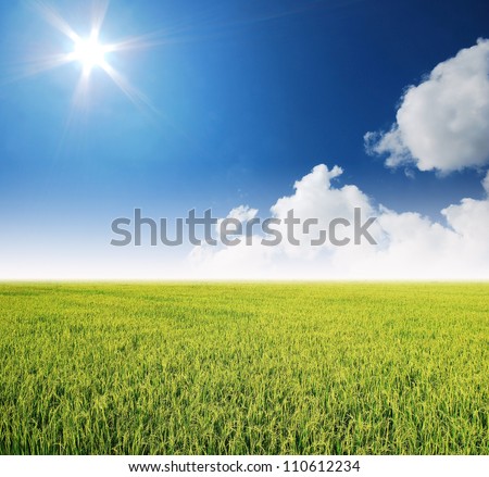 Outdoors background Stock Photos, Illustrations, and Vector Art