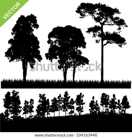 Forest Silhouette Stock Photos, Images, & Pictures | Shutterstock