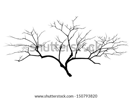 Deciduous-trees Stock Photos, Images, & Pictures | Shutterstock