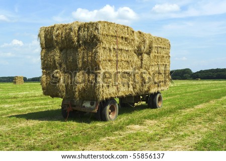 stock-photo-close-up-shot-of-bales-of-hay-on-a-trailer-standing-in-a-green-field-under-a-blue-sky-55856137.jpg