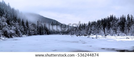 Moody Stock Images, Royalty-Free Images & Vectors | Shutterstock