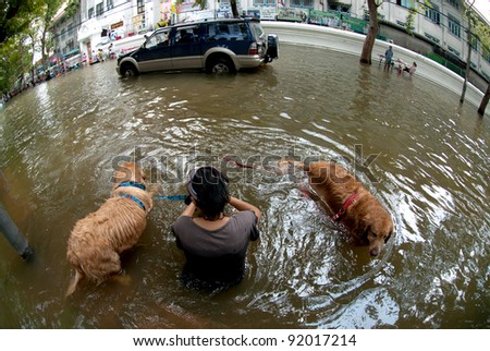 BANGKOK, THAILAND - OCTOBER 31 : unidentified People and dogs running ... BANGKOK, THAILAND - OCTOBER 31 : unidentified People and dogs running ...