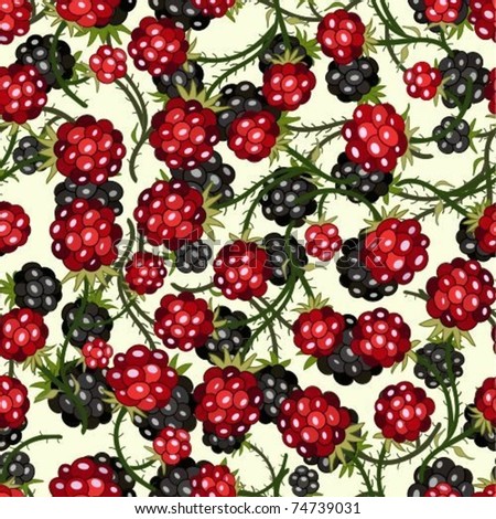 Raspberry Plant Stock Vectors & Vector Clip Art | Shutterstock