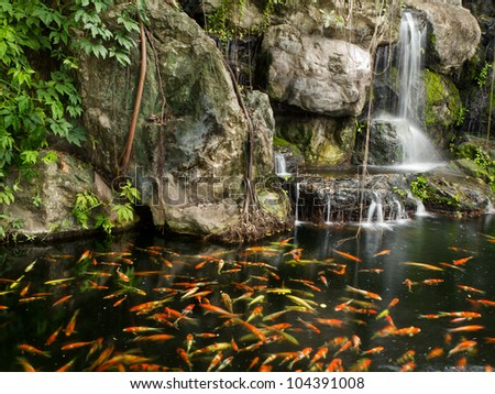 Related Pictures koi pond and waterfall frog ornament in the waterfall