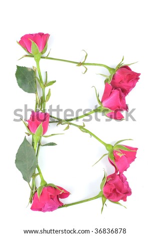 Letter B Made Of Flowers Stock Photos, Images, & Pictures | Shutterstock