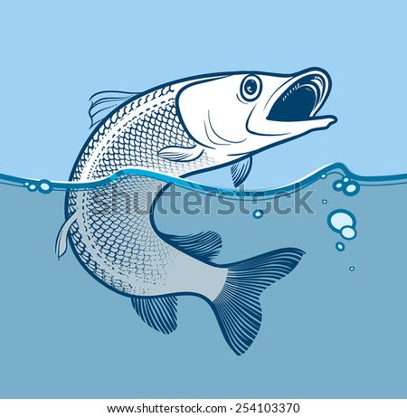 Salmon Fish Stock Vectors & Vector Clip Art | Shutterstock