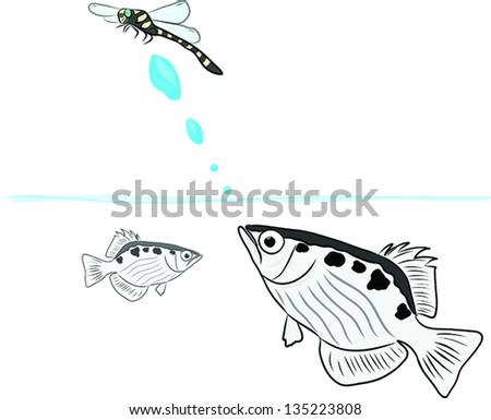 Archer fish Stock Photos, Archer fish Stock Photography, Archer fish